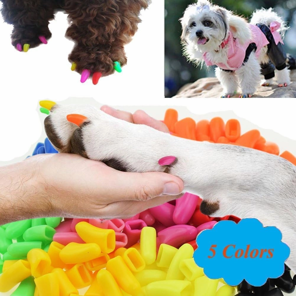 100pcs Dog Nail Caps Dog Caps Dog Nail Covers for Pet Dog Paws with 5pcs Adhesive Glue 5pcs Applications and Instructions