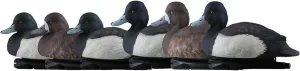 Avian-X Topflight Blue Bills Decoy Set Realistic Duck Decoys with Weight Forward Swim Keel, Greater and Lesser Blue Bills