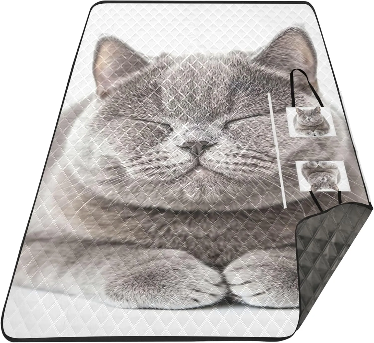 British Shorthair Cat Waterproof Beach Blanket Sandproof, Outdoor Blanket for Grass Picnic Accessories Foldable, 80" x 60"