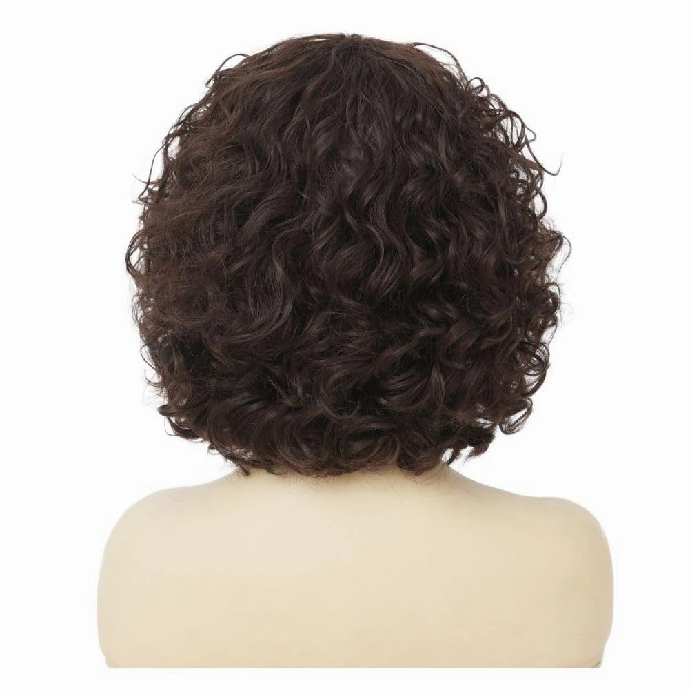 Brown Curly Bob Wig for Women with Bangs Shoulder Length Naturel Synthetic Hair Wigs for Daliy Party Use
