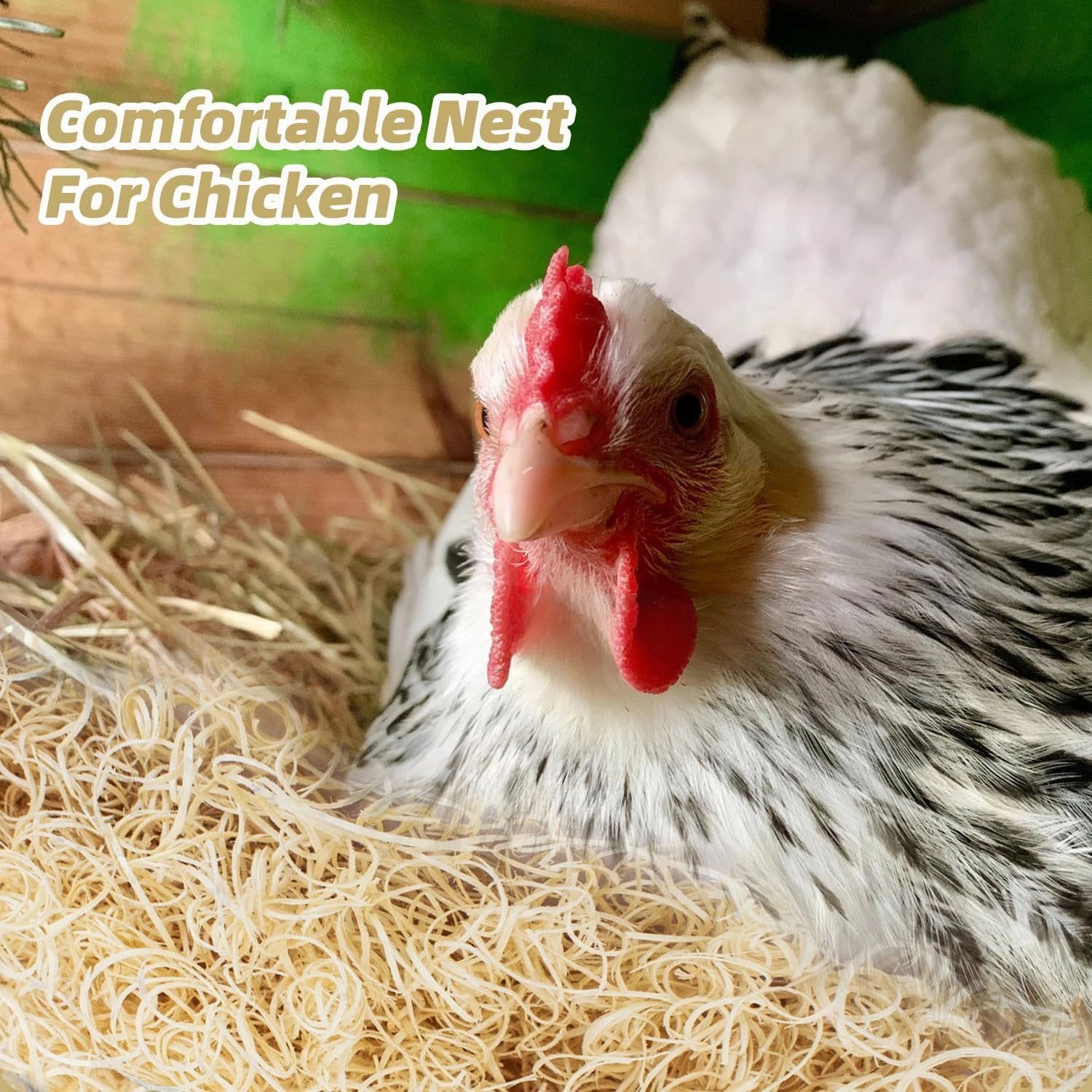 Chicken Nesting Pads Material, 5 LB Aspen Excelsior Natural, Chicken Coop Accessories, Hen Nest Bedding Box Liners for Laying Eggs, Bird Nests for Cage, Poultry Nesting