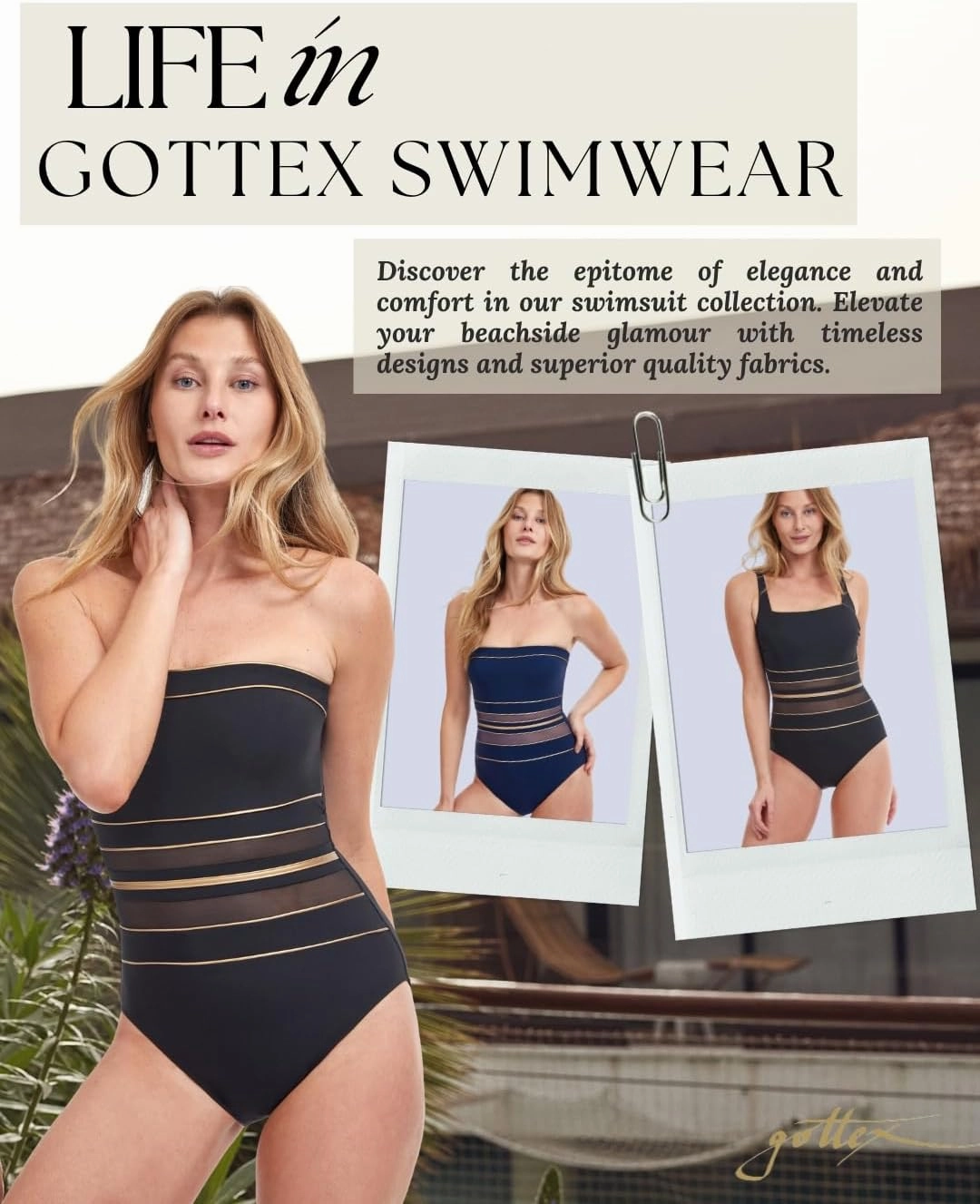 Gottex Women's Standard One-Piece Swimsuit