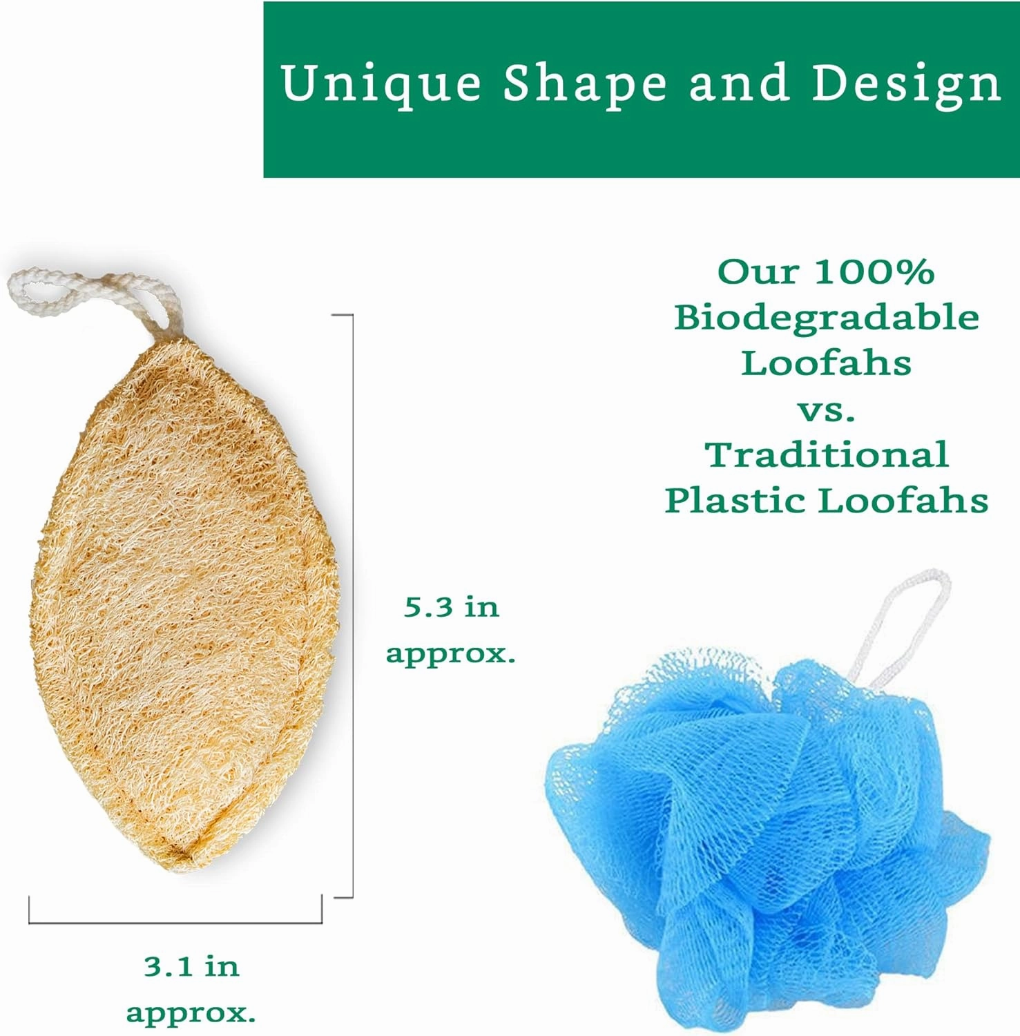 Natural Loofah Exfoliating Sponge (4 Pack) - Loofa Exfoliating Body Scrubber - Biodegradable Organic Loofah Sponge - Shower Luffa Sponges - Shower Lufa - Estropajos para el Cuerpo
