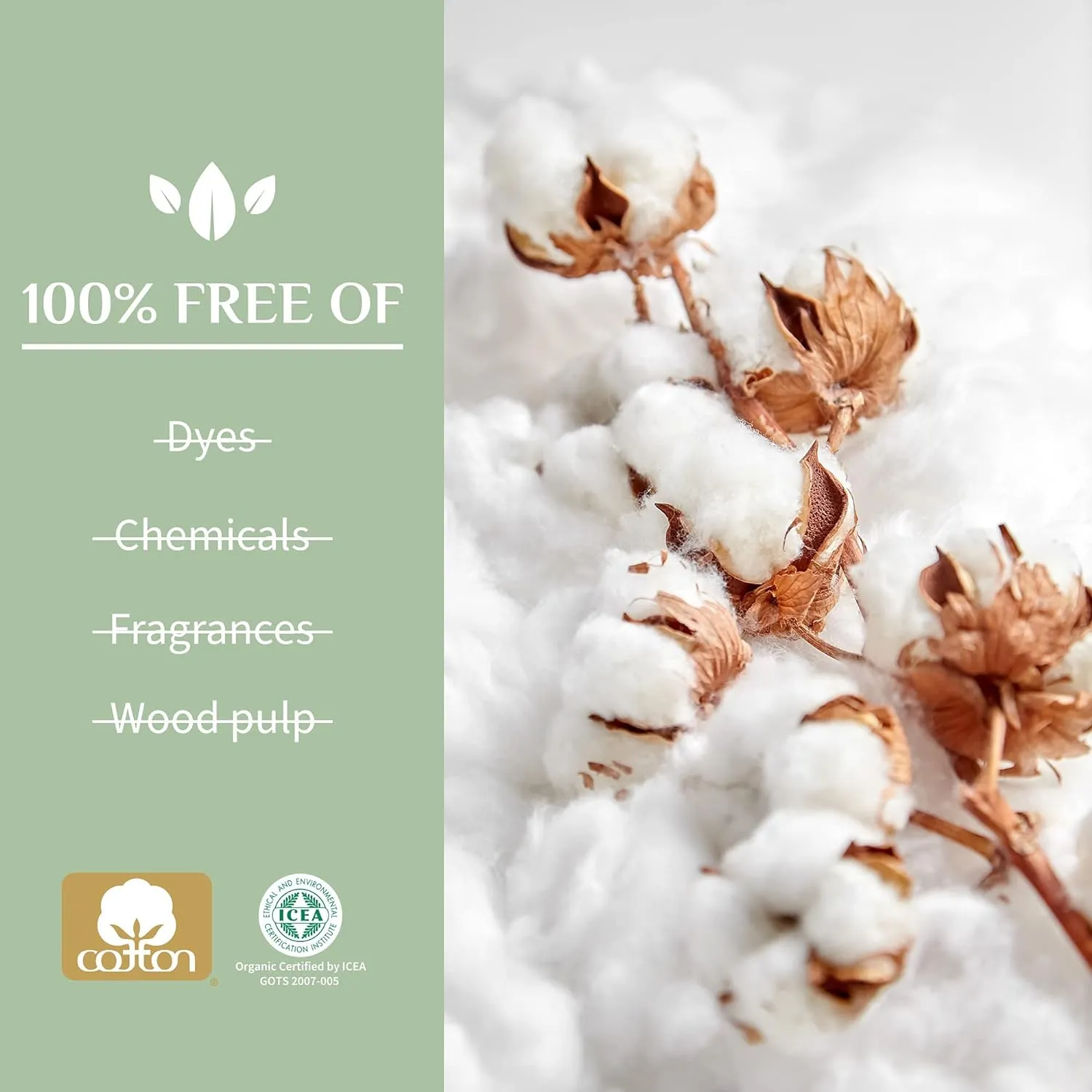 Organyc - 100% Certified Organic Cotton Inside and Out Feminine Pads, Sanitary Napkin 40 Count, Moderate Flow, Regular Absorbency, New Larger Size Packaging