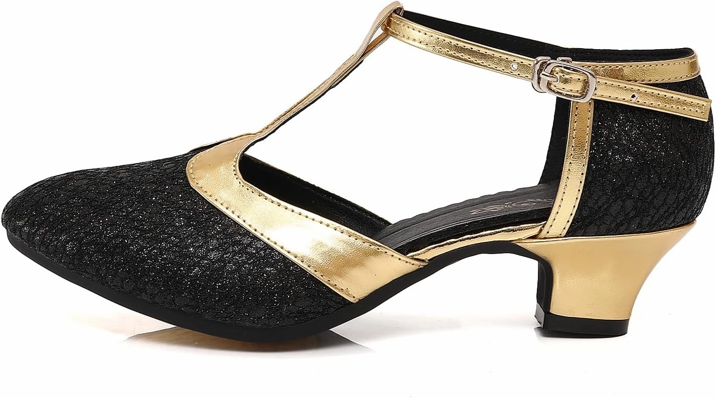 Women's Glitter Dance Shoes Flapper Gatsby 1920s Shoes Latin Tango Salsa Ballroom Heels
